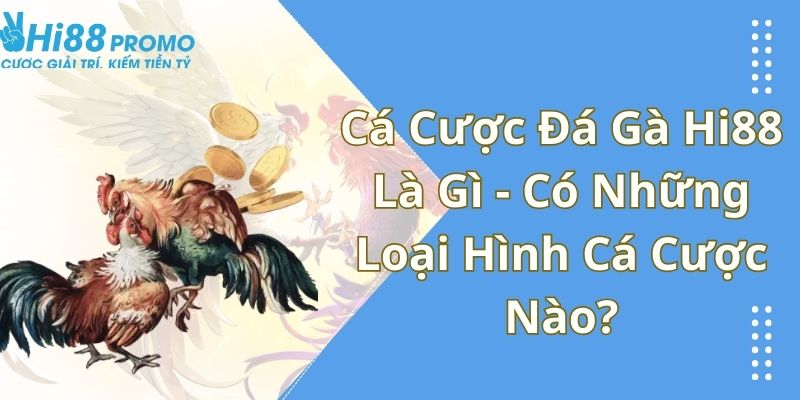 cá cược đá gà Hi88 là gì