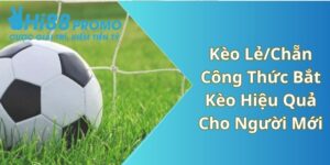 Kèo Lẻ/Chẵn